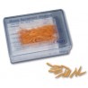 Hawe Coins interdentaires en bois orange 822/10