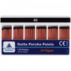 Gutta-Percha rose 4% no 40...